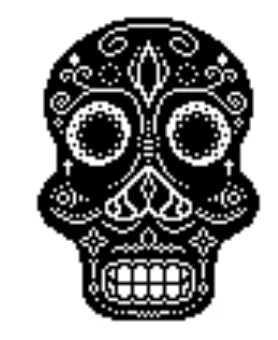 BTC Skull